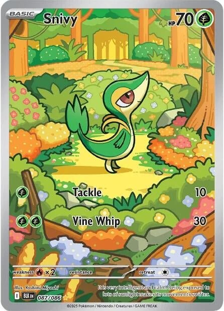 Snivy (087/086) (BLK)